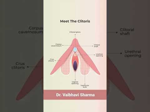 The Clitoris | The Internal Sexual Anatomy | Dr. Vaibhavi Sharma