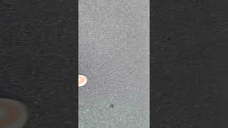 Footsteps To Start The Days Walk. Japanese Slippers On Bare Feet.