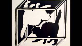 Robert Anton Wilson Talks About Quantum Physics