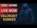 Smurf hoga!!😤 | Valorant Stream #valorant
