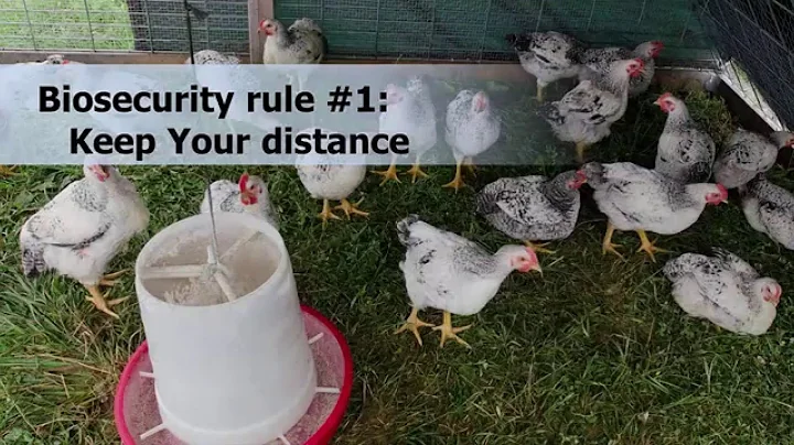 Make Biosecurity Your Routine