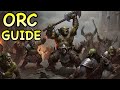D&amp;D5E: ORC GUIDE