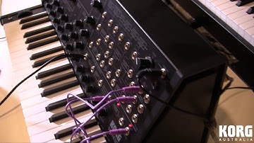 KORG MS-20 Mini: Monophonic Synthesiser & Monotron Delay ( KORGANTUAN )
