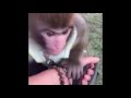 Aris playing outside