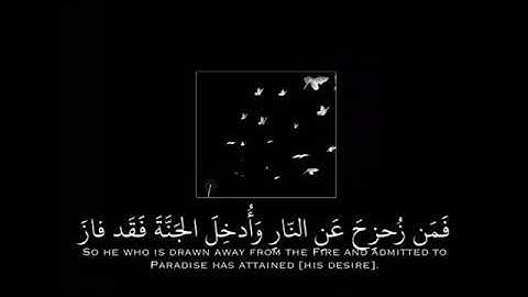 ( وَمَا الْحَيَاةُ الدُّنْيَا إِلَّا مَتَاعُ الْغُرُورِ ) سورة ال عمران