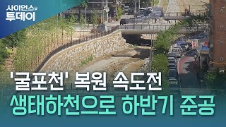하천복원 사업 1호 '굴포천' 생태하천으로 하반기 준공 / YTN 사이언스