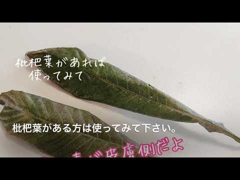 犬ごはん動画　ラブラドール　ロンの☆わんこのための自然療法☆こんにゃく湿布