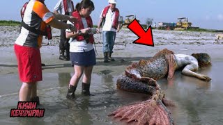 Orang ini dibuat Terkejut Karena Menemukan Putri Duyung di Danau