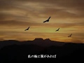 私の腕に翼があれば