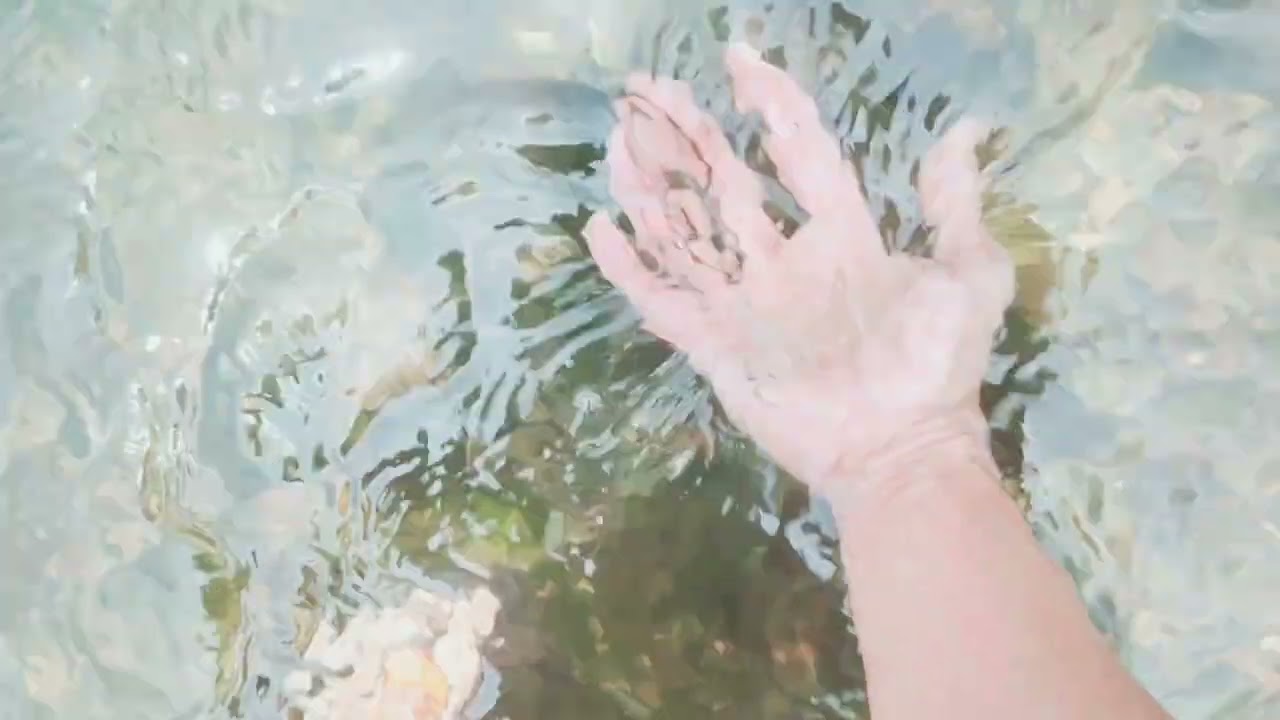 Trốn vào rừng thư giãn 🥰 