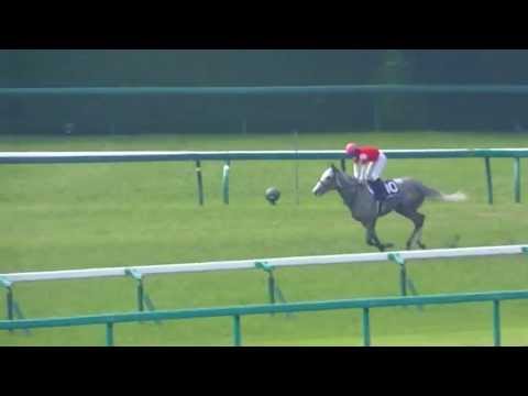 2013年 6月23日　第54回 宝塚記念(ＧＩ)　ゴールドシップ　ウィニングラン　現地映像
