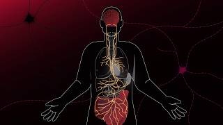 The Gut–Brain Link in Parkinson’s and Crohn’s - Isakson Center for Neurological Disease Research