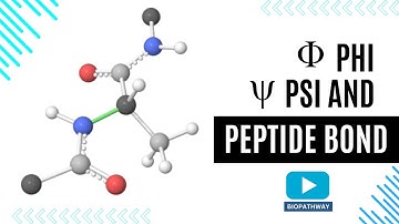 Dihedral Angle Phi Psi Ramachandran Plot