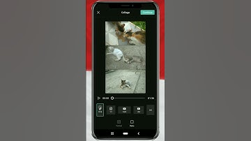 How to Create a Split-Screen Video in CapCut #shorts #capcut