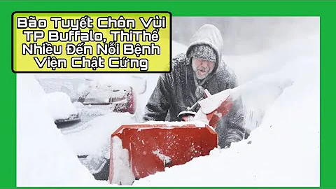 Bo Tuyt Chn Vi TP Buffalo, ThiTh Nhiu n Ni Bnh Vin...