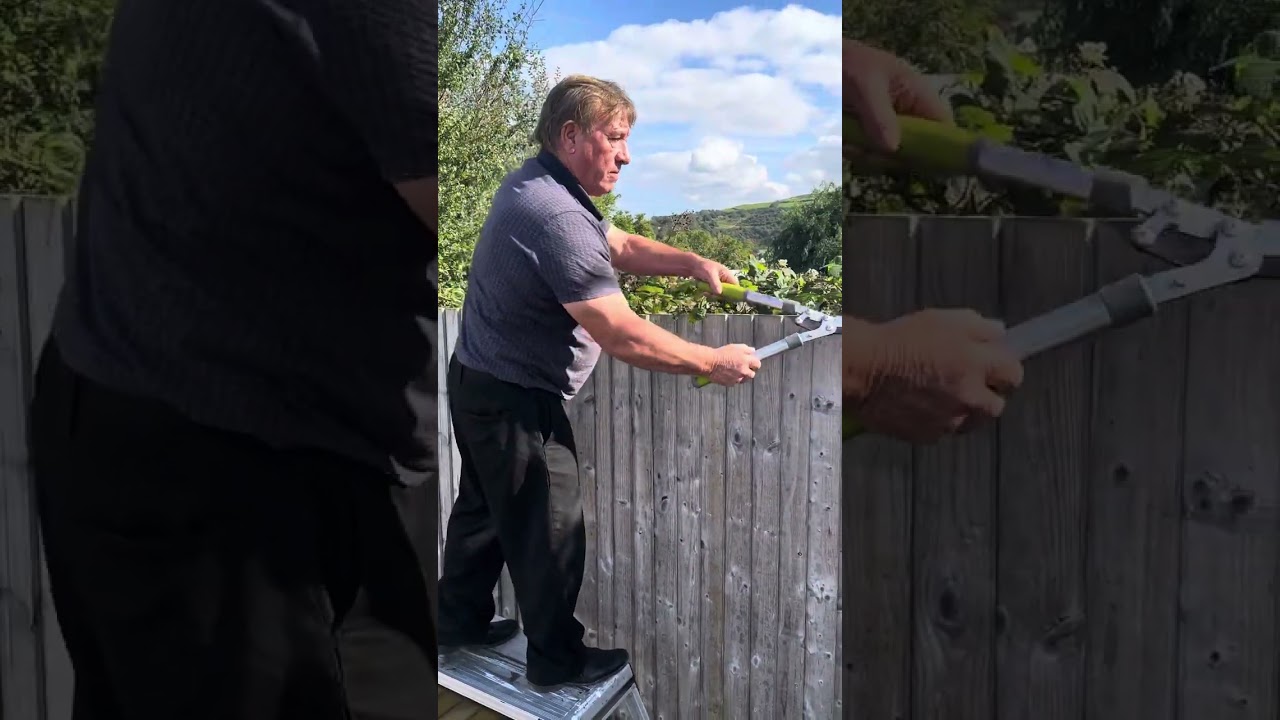 My father, Willy Gilheaney￼ cutting the trees 🌳