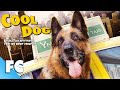 Cool Dog | Full Family Adventure Comedy | Animal Movie!