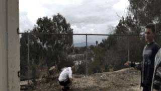 Fight Scene