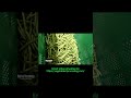Industrial Green Bean End Cutter Machine | Full Operation Demonstration