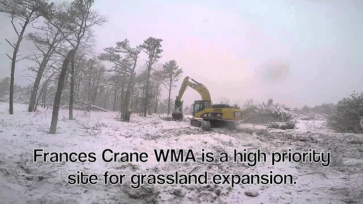 Grassland Expansion at Frances Crane WMA