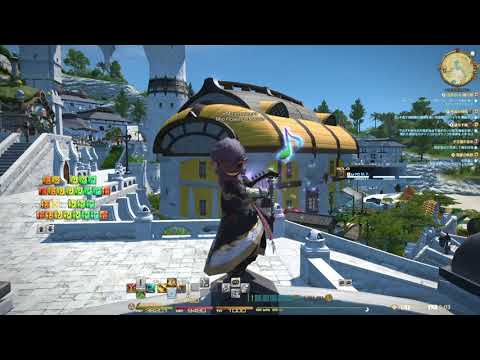 ファイナルファンタジーXIV  演奏 「闘争」
