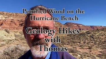 Geology Hikes with Thomas: Petrified Wood on the Hurricane Bench