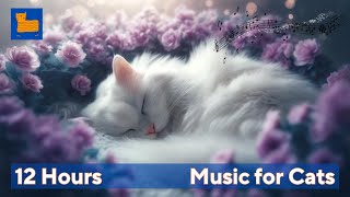 🔴 IN 3 MINUTES - Sleep Music for Cats, Sleep Fast, Cure for Anxiety Disorders, Depression #sleepycat