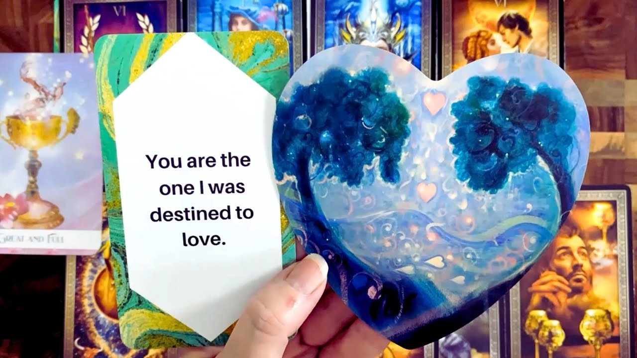 YOU MEAN THE WORLD TO ME ❤️ YOU ARE THE ONLY PERSON I'VE EVER LOVED 🥰 COLLECTIVE LOVE READING 😘