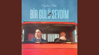 Bir Gülü Sevdim