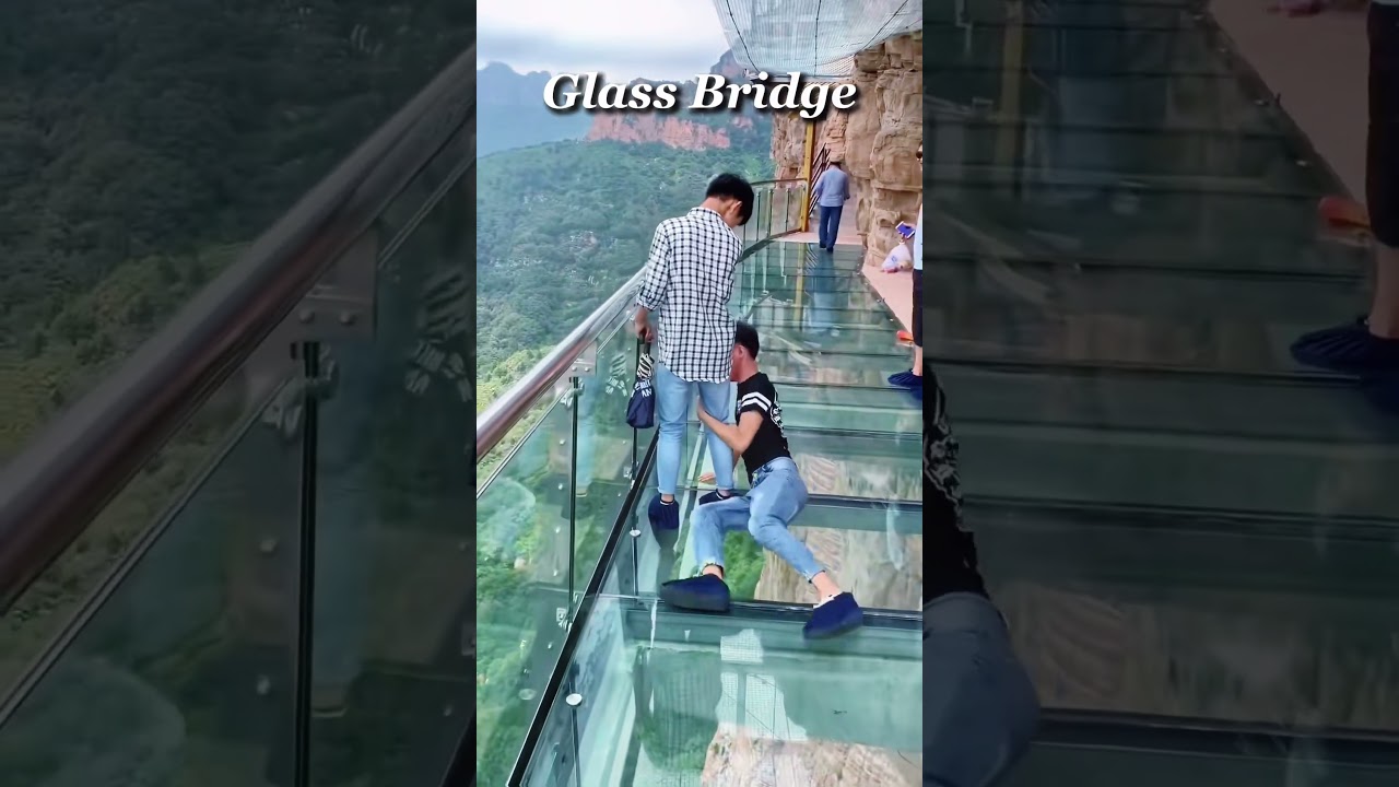 Afraid of glass bridge🤣