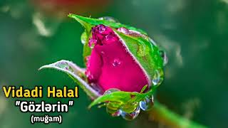 Vidadi Halal - Gozlerin 2022 Official Audio