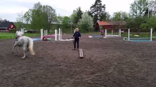 20150512 Lillan del 3