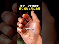スプーンで地球を掘り続けた男の末路