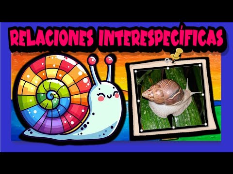 Las relaciones interespecificas