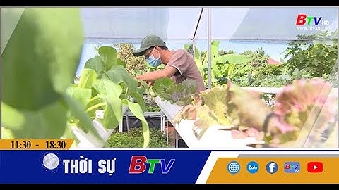 Thúc đẩy sản xuất và tiêu thụ nông sản an toàn