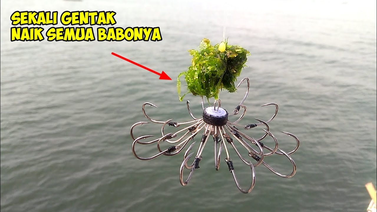 sekali gentak !!!  babonya naik semua || pancing garong 20 kail