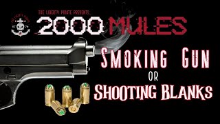 2000 Mules: Smoking Gun or Shooting Blanks