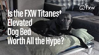 Dolly and Loki Test Out the FXW TitanNest Padded Chew-Proof Elevated Dog Bed