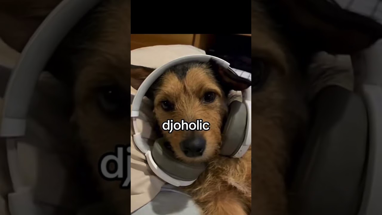 wtf does he put into his songwriting 