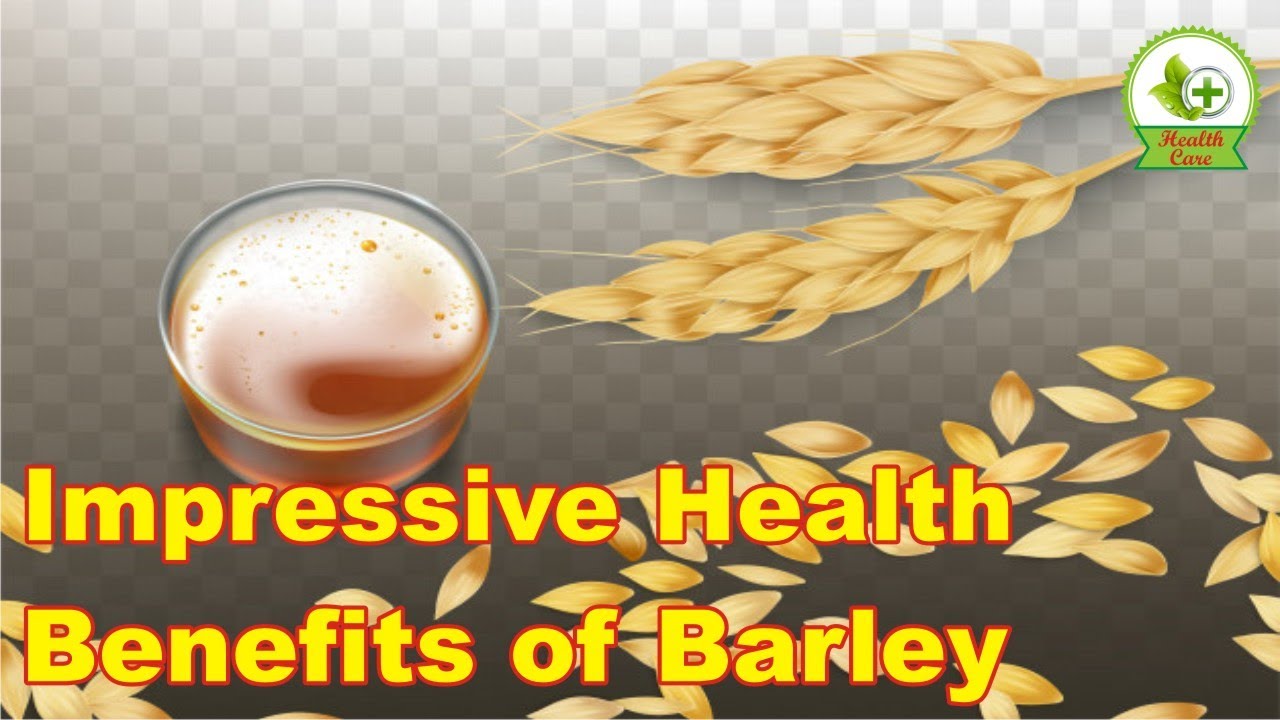 Impressive Health Benefits of Barley YouTube