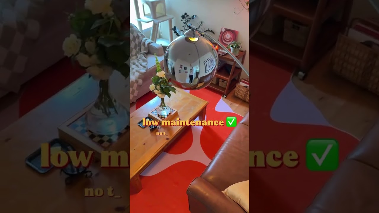 When your cat meets a rug that actually survives 🐱❤️