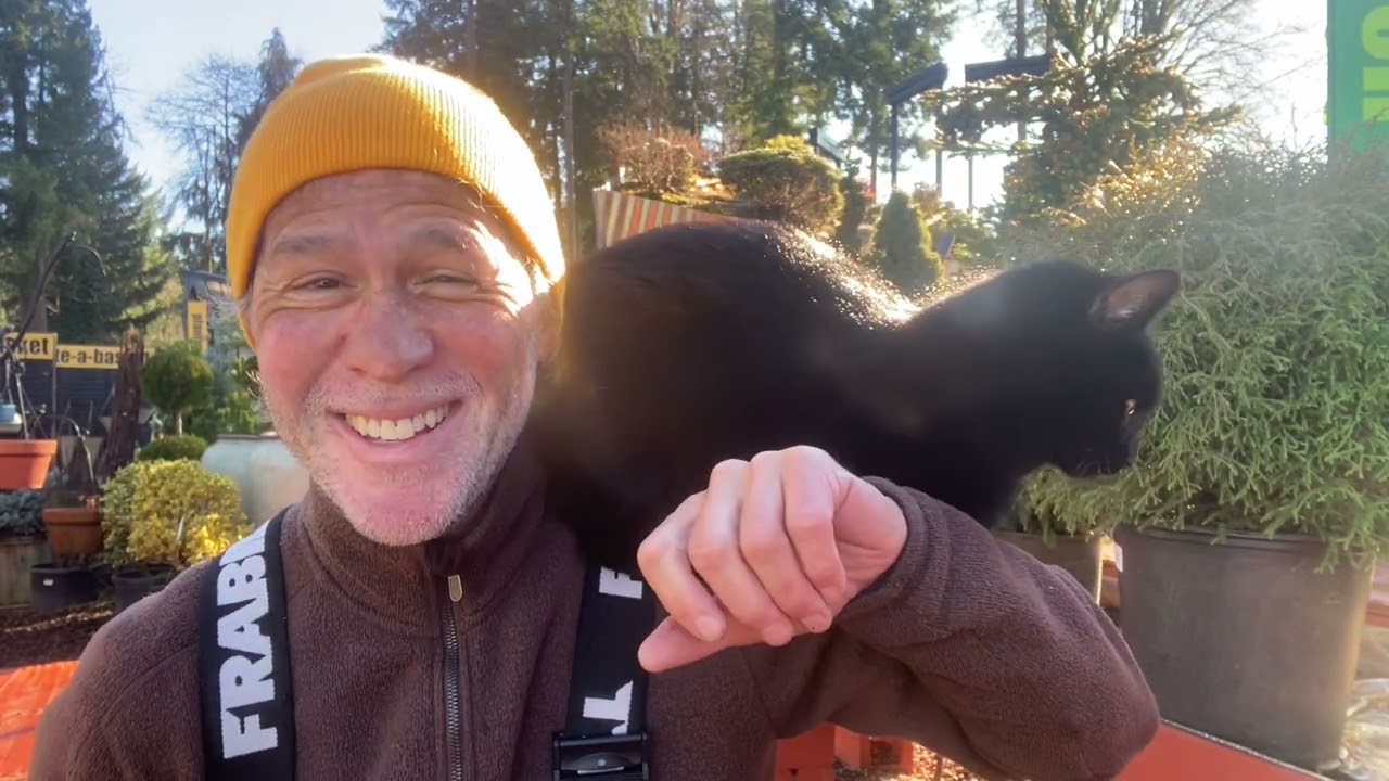 Three plants you should know about in February