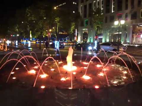 夜半路燈。陳澤福