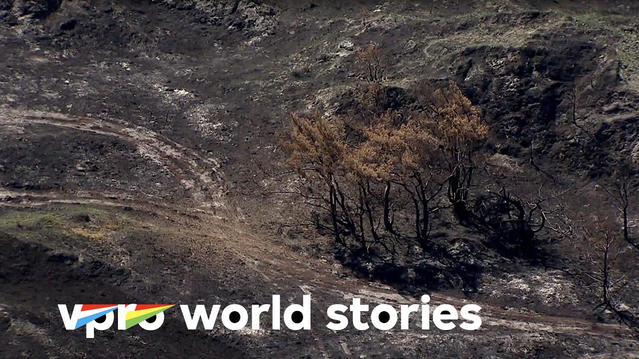 The Netherlands from above - E2/10 - The hungry jaws of Europe