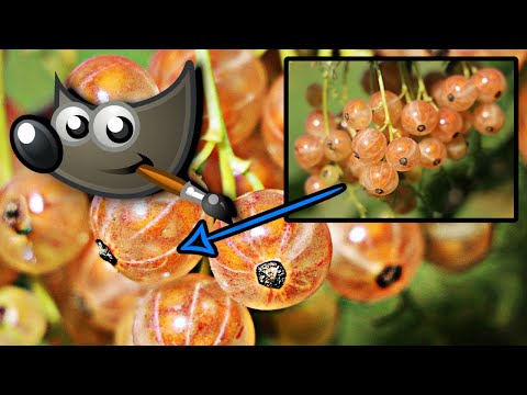 GIMP_SEM PLUG INS! Como aumentar nitidez de cores sem precisar de plug ins com o GIMP!