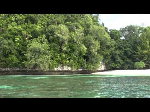 Visit to a Palu Island