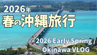 2月の沖縄は「春」でした。2026年、最高すぎる2泊3日のリゾート旅。