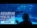 #сидимдома Гран Канария 2019. Aquarium Poema del Mar. Las Palmas.