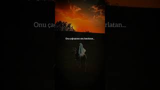 Kişi Sevdiğinin Herşeyini Sever