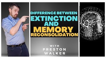 Preston Walker Guides, Differences Between Extinction and Memory Reconsolidation | Mental Health